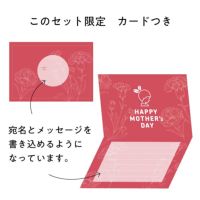 「2025母の日お子さんと一緒に贈る おばあちゃんへのメッセージギフト」のメッセージカード